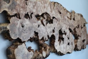 Stacked, weathered wooden tree slices with visible grain and holes, arranged on a light blue wall (decorative wall art).